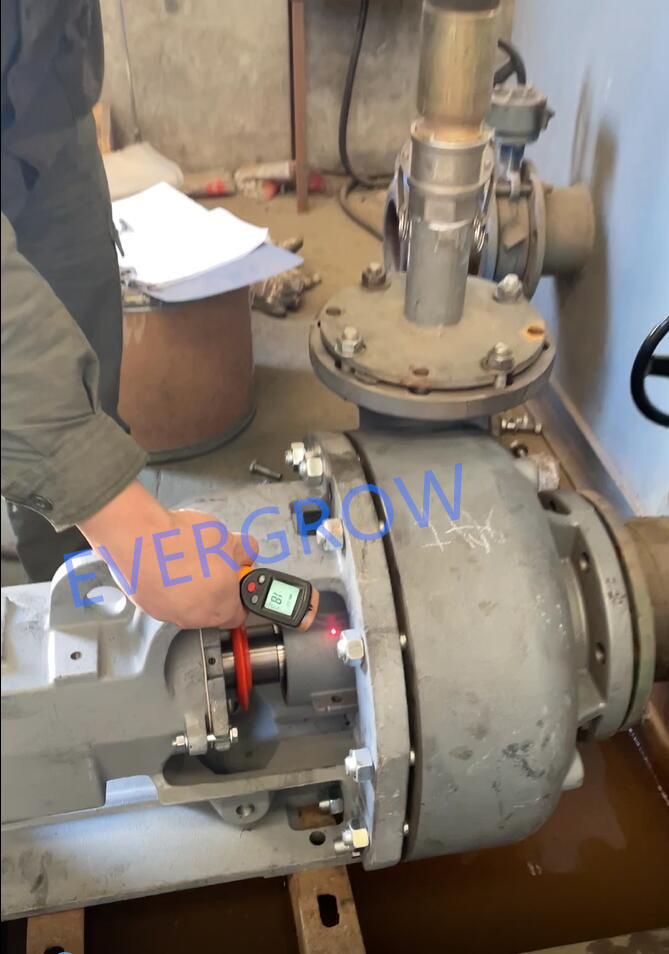 test d&eacute;part usine pour pompe centrifuge Magnum 6x5x11-5 evergrow