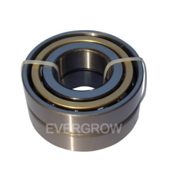 Evergrow EG-250 Roulements 