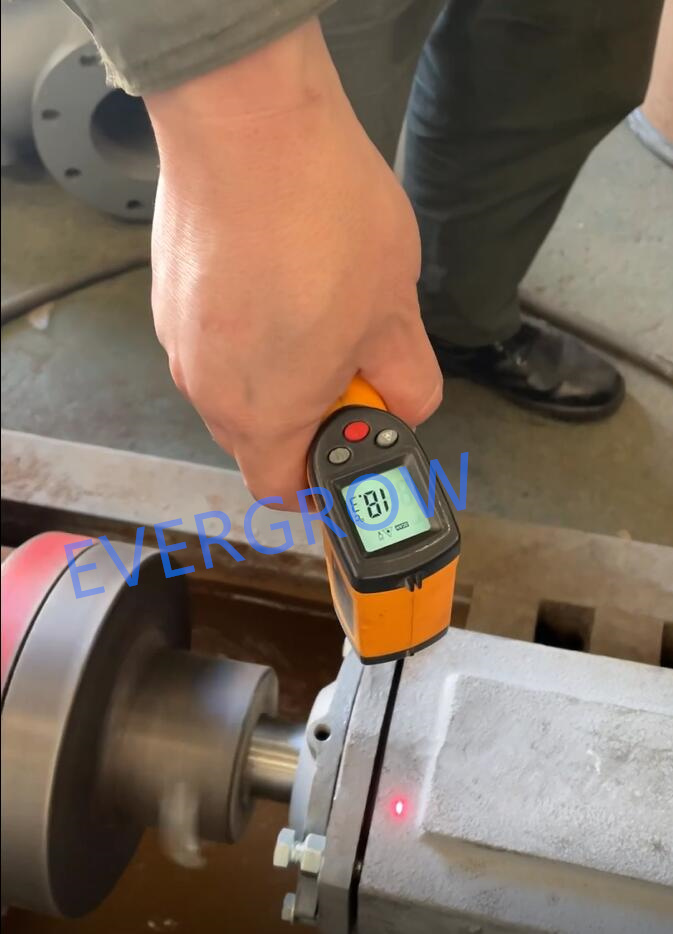 test d&eacute;part usine pour pompe centrifuge Magnum 6x5x11-3 evergrow