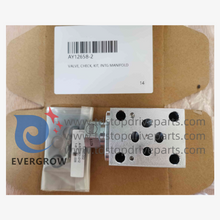 AY12658-2 Kit de vérification de la valve Intg multiples