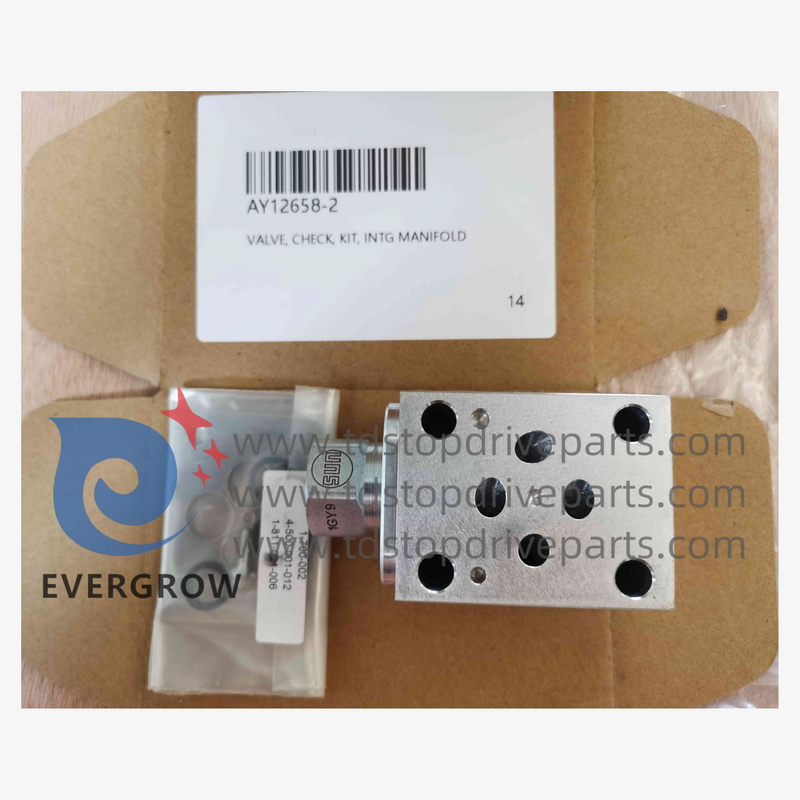 AY12658-2 Kit de vérification de la valve Intg multiples