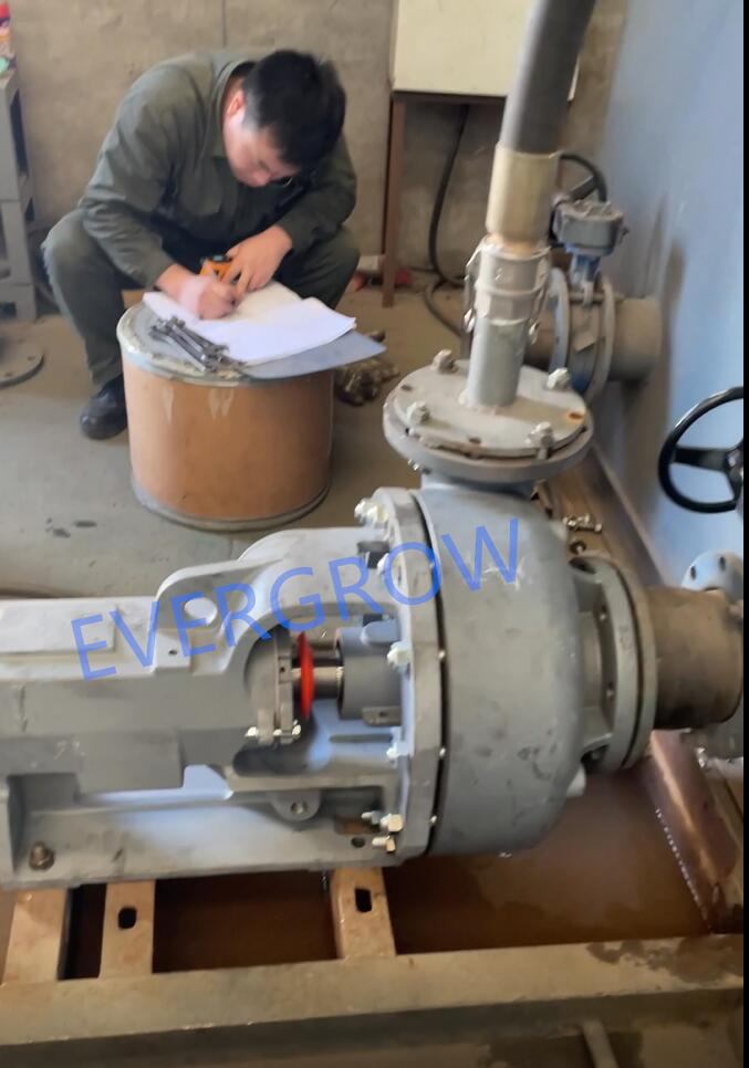 test d&eacute;part usine pour pompe centrifuge Magnum 6x5x11-8 evergrow